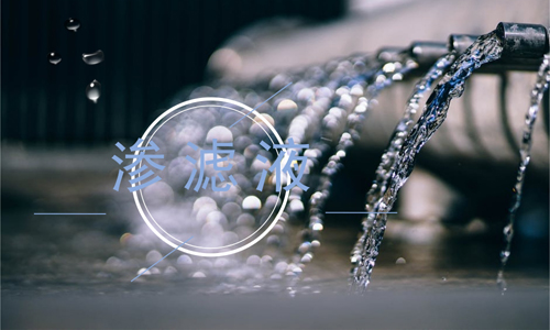 2017_06_23_10041343.jpg 2017_06_23_10041343.jpg